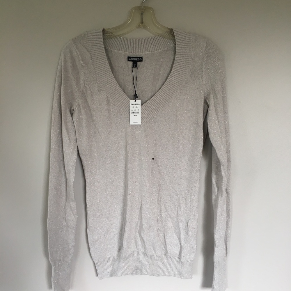 NWT express silver sweater
